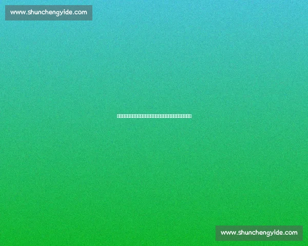 尤文图斯主教练图多尔是谁他的执教背景与战术特点解析全面解读